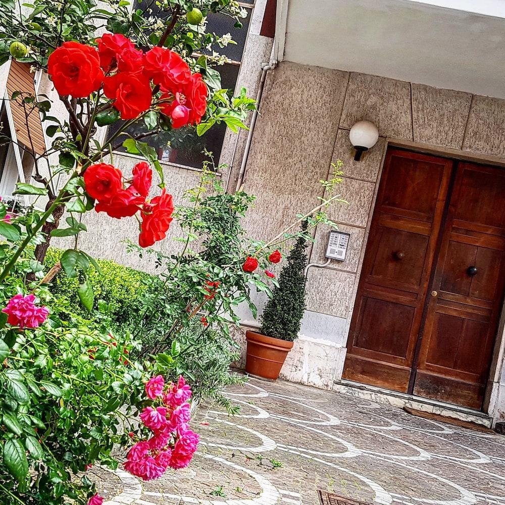 B&B Aurelia Garden Rooms Rome Bagian luar foto